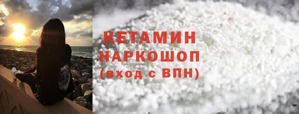 стаф Каменка