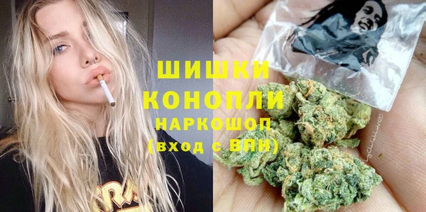 стаф Каменка