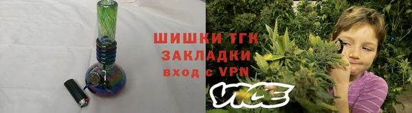 стаф Каменка