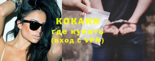 стаф Каменка