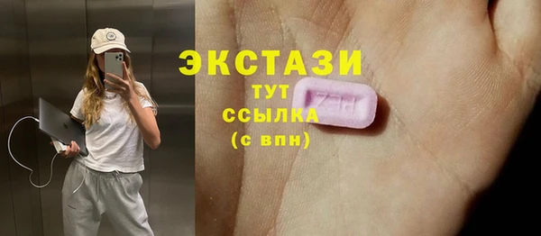 стаф Каменка