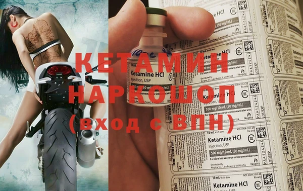 стаф Каменка