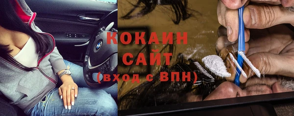 стаф Каменка