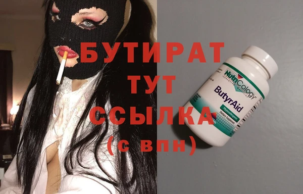 стаф Каменка