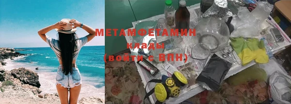трава Каменногорск