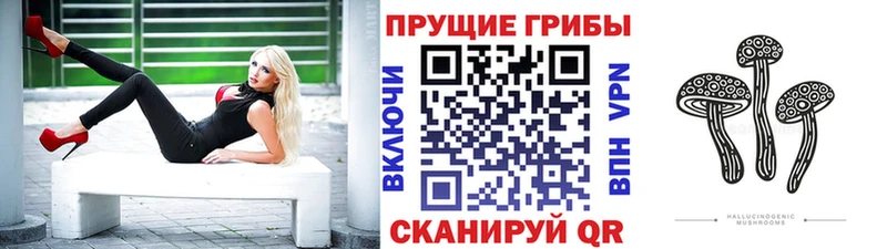 Галлюциногенные грибы Psilocybe  Купить где  Алупка 